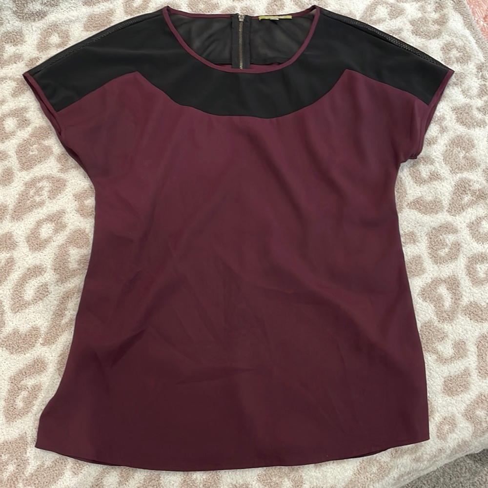 Women’s gianni bini XS mesh insert blouse with zipper back